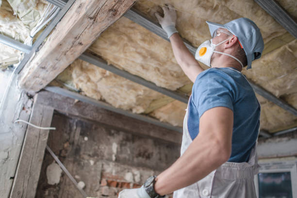 Best Blown-in Insulation in New Lno, LA