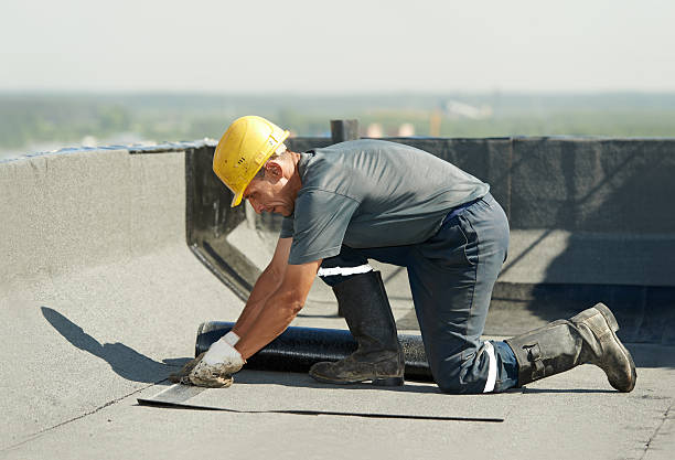 Professional Insulation Contractor in New Llano, LA