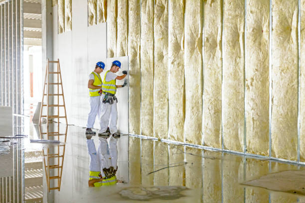 Best Blown-in Insulation in New Lno, LA